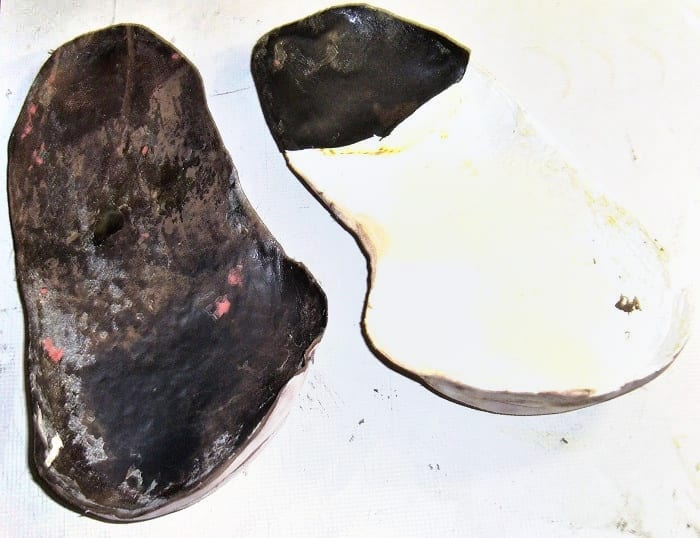 Plantari ortopedici, Ortopediche